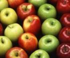 Μήλα των διαφόρων τύπων